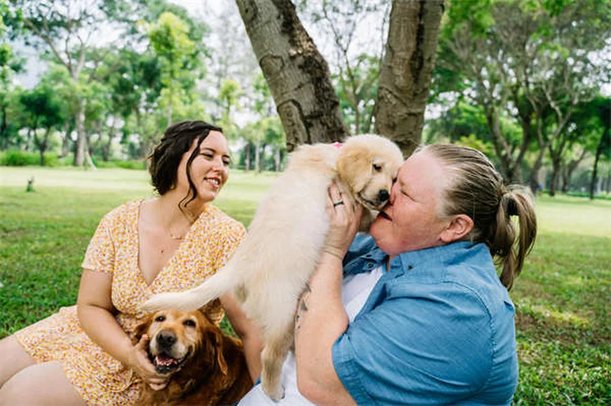 How to Tell If Your Dog Is in Pain: 7 Warning Signs Every Pet Owner Should Know