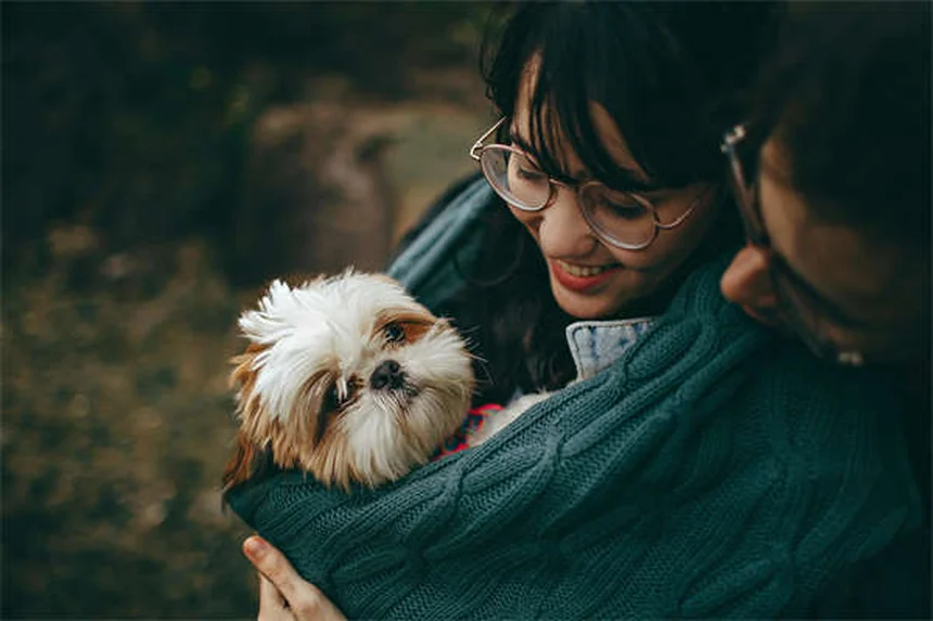 7 Proven Ways to Calm an Anxious Dog Naturally